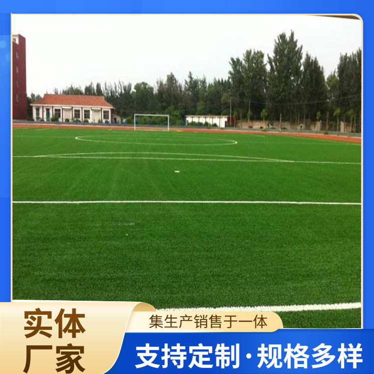 银川市篮球场硅PU人造草坪 - 方案